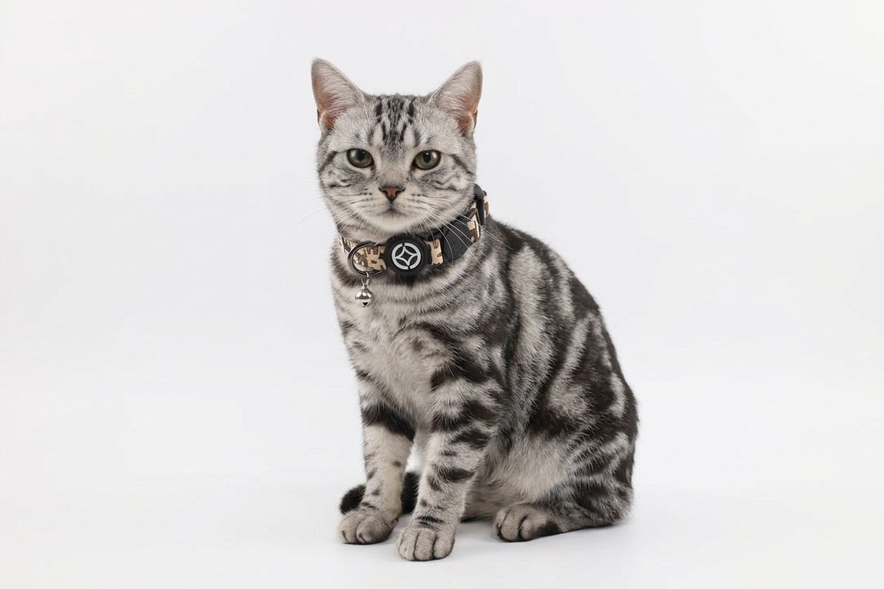 Feline Fine Kollar