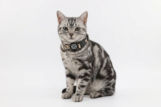 Feline Fine Kollar